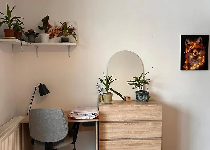 Quarto duplo